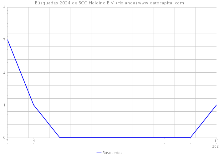 Búsquedas 2024 de BCO Holding B.V. (Holanda) 
