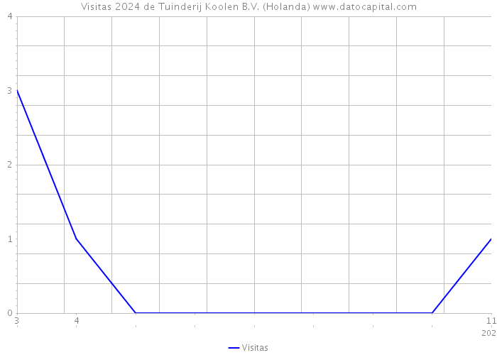 Visitas 2024 de Tuinderij Koolen B.V. (Holanda) 