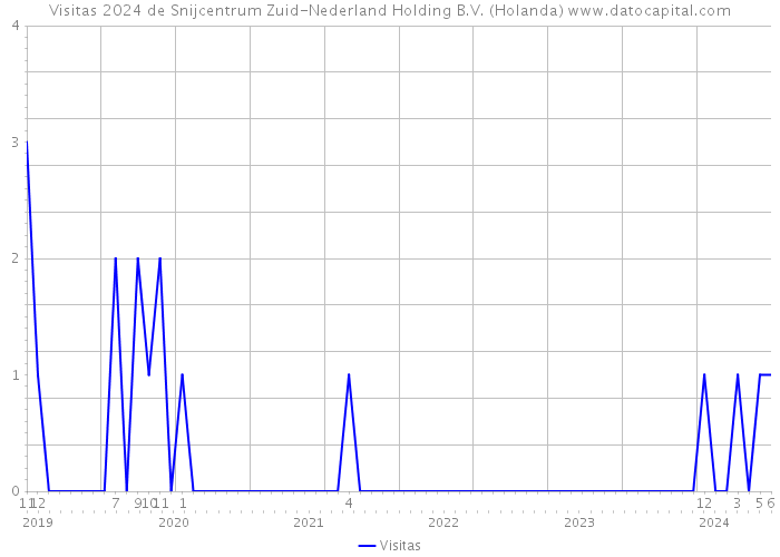 Visitas 2024 de Snijcentrum Zuid-Nederland Holding B.V. (Holanda) 