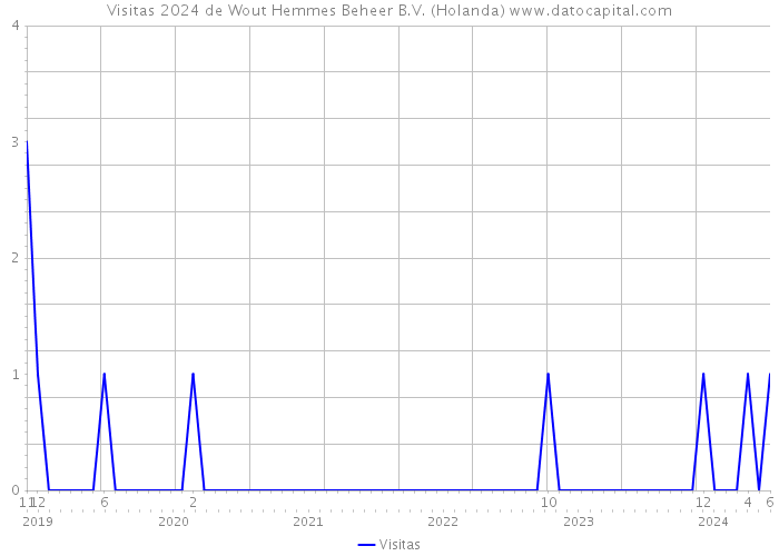 Visitas 2024 de Wout Hemmes Beheer B.V. (Holanda) 