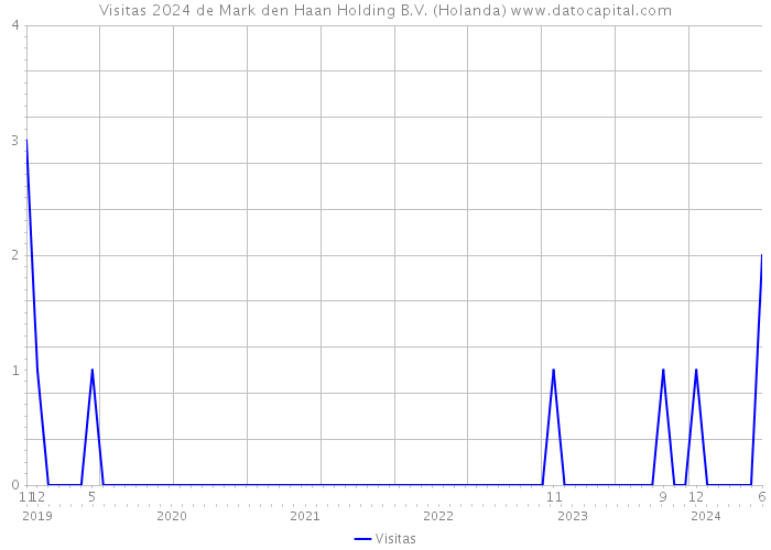 Visitas 2024 de Mark den Haan Holding B.V. (Holanda) 