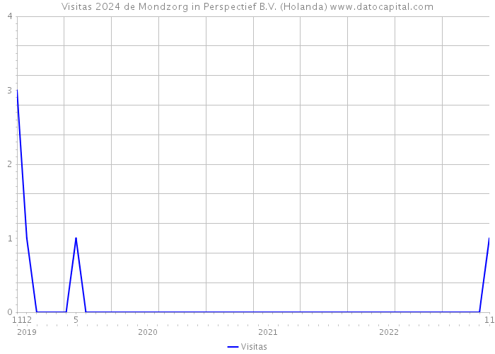 Visitas 2024 de Mondzorg in Perspectief B.V. (Holanda) 