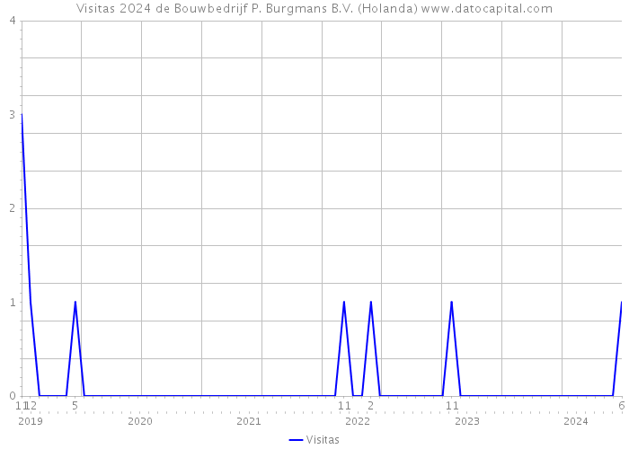 Visitas 2024 de Bouwbedrijf P. Burgmans B.V. (Holanda) 