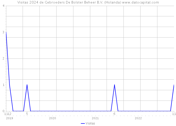 Visitas 2024 de Gebroeders De Bolster Beheer B.V. (Holanda) 