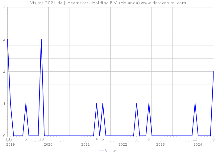 Visitas 2024 de J. Heemskerk Holding B.V. (Holanda) 