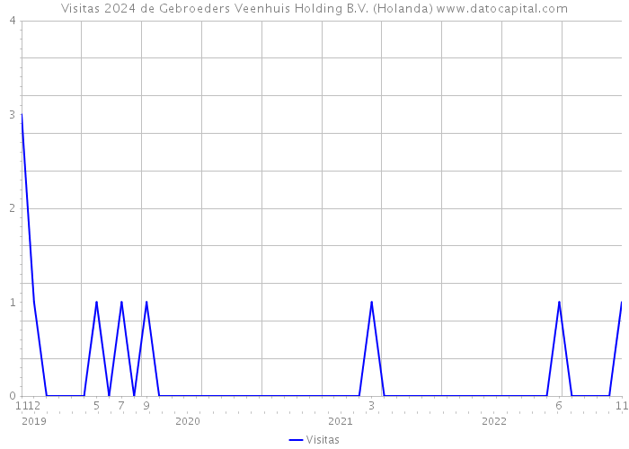 Visitas 2024 de Gebroeders Veenhuis Holding B.V. (Holanda) 