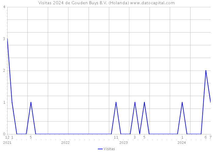 Visitas 2024 de Gouden Buys B.V. (Holanda) 