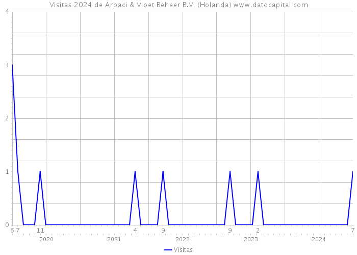 Visitas 2024 de Arpaci & Vloet Beheer B.V. (Holanda) 