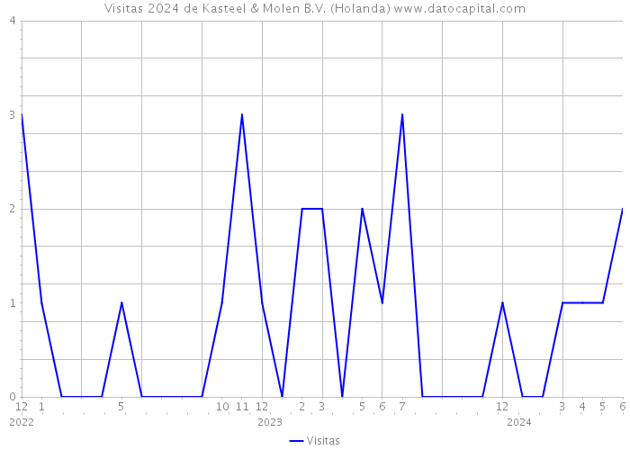 Visitas 2024 de Kasteel & Molen B.V. (Holanda) 