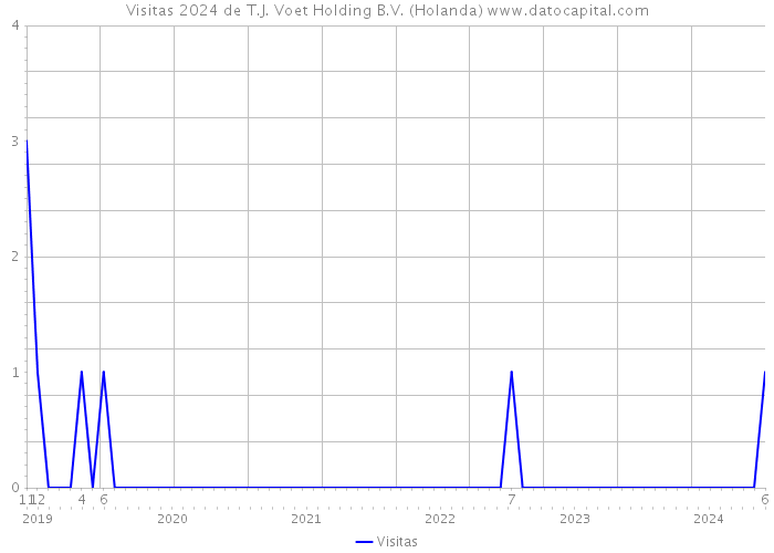 Visitas 2024 de T.J. Voet Holding B.V. (Holanda) 