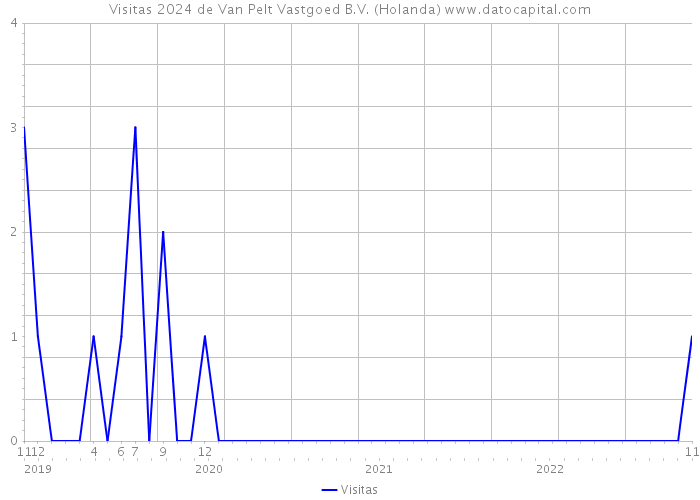 Visitas 2024 de Van Pelt Vastgoed B.V. (Holanda) 