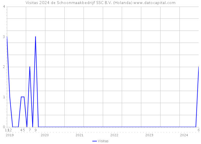 Visitas 2024 de Schoonmaakbedrijf SSC B.V. (Holanda) 