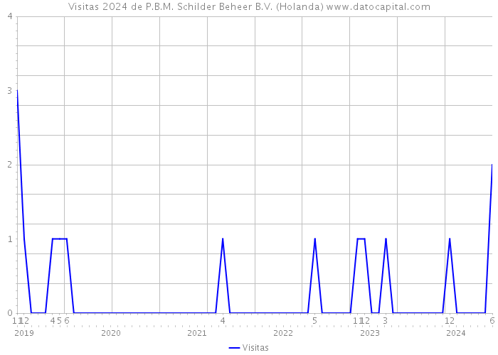 Visitas 2024 de P.B.M. Schilder Beheer B.V. (Holanda) 