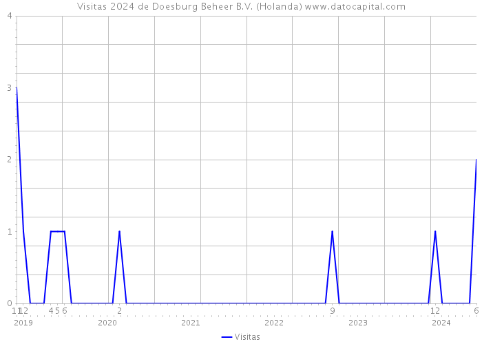 Visitas 2024 de Doesburg Beheer B.V. (Holanda) 