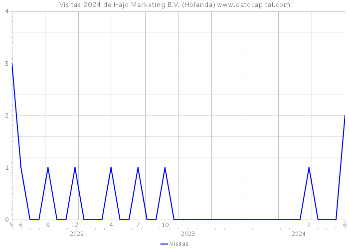 Visitas 2024 de Hajo Marketing B.V. (Holanda) 