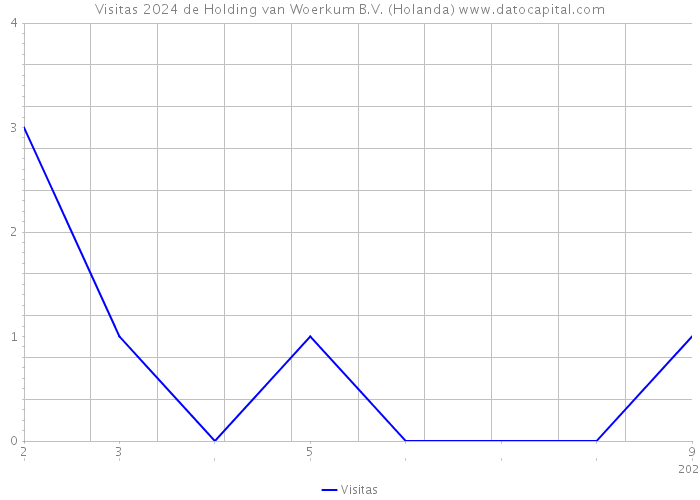 Visitas 2024 de Holding van Woerkum B.V. (Holanda) 