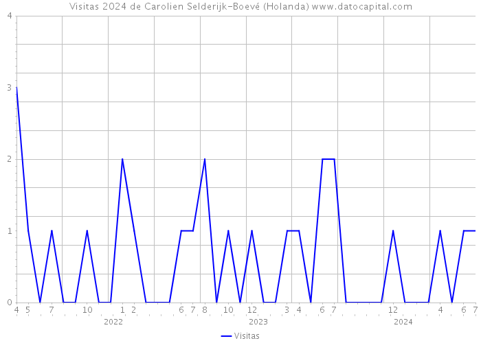 Visitas 2024 de Carolien Selderijk-Boevé (Holanda) 