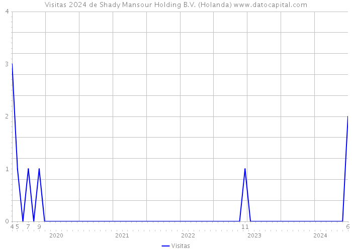 Visitas 2024 de Shady Mansour Holding B.V. (Holanda) 