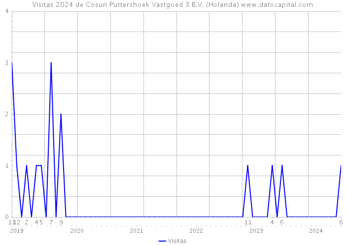 Visitas 2024 de Cosun Puttershoek Vastgoed 3 B.V. (Holanda) 