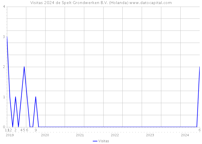 Visitas 2024 de Spelt Grondwerken B.V. (Holanda) 