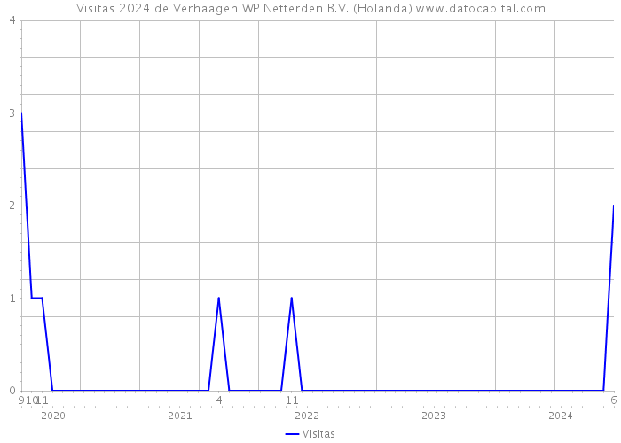 Visitas 2024 de Verhaagen WP Netterden B.V. (Holanda) 