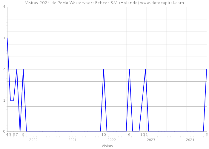 Visitas 2024 de PeMa Westervoort Beheer B.V. (Holanda) 