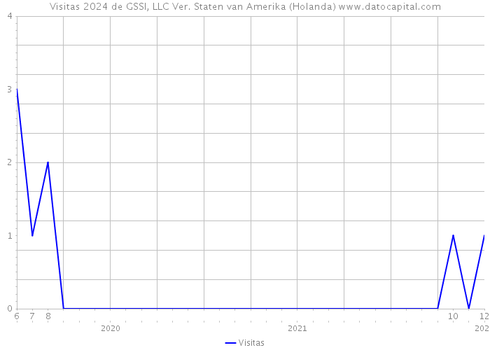 Visitas 2024 de GSSI, LLC Ver. Staten van Amerika (Holanda) 