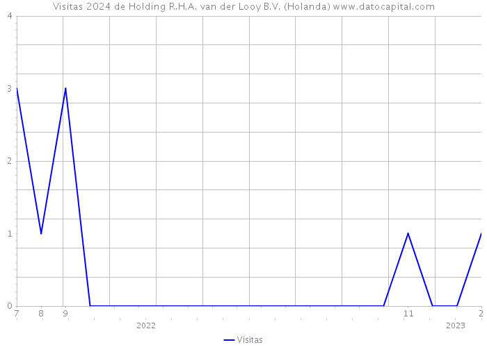 Visitas 2024 de Holding R.H.A. van der Looy B.V. (Holanda) 