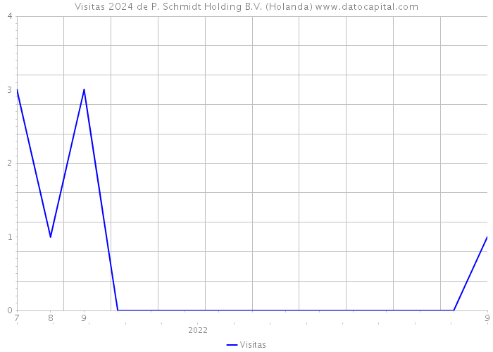 Visitas 2024 de P. Schmidt Holding B.V. (Holanda) 