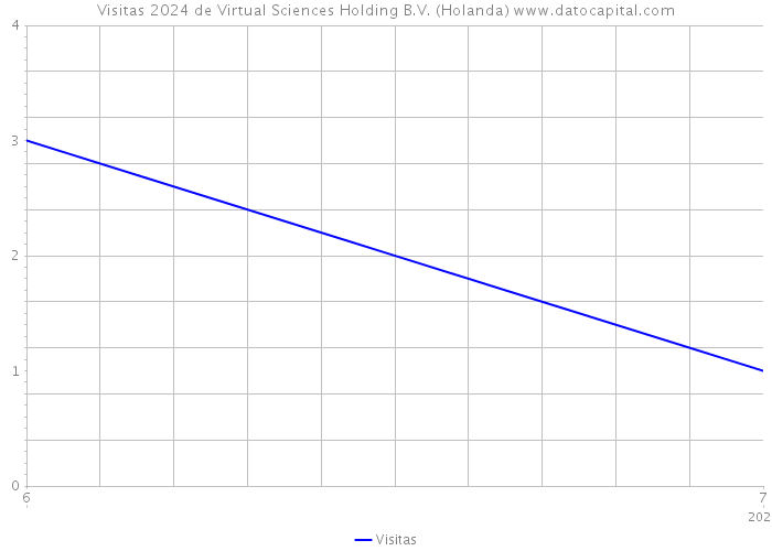 Visitas 2024 de Virtual Sciences Holding B.V. (Holanda) 