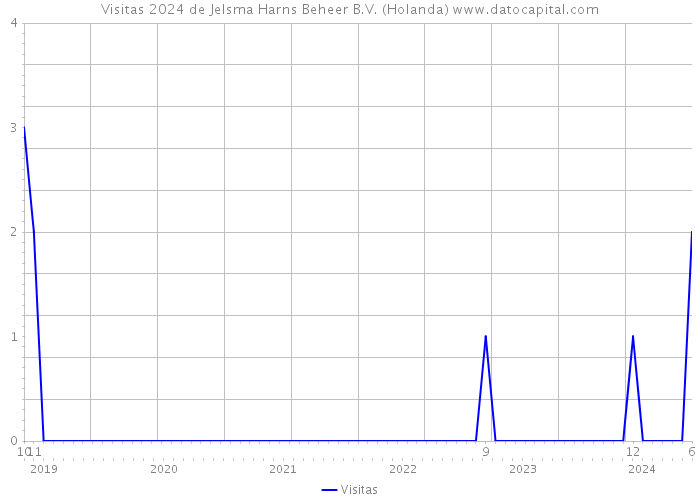 Visitas 2024 de Jelsma Harns Beheer B.V. (Holanda) 