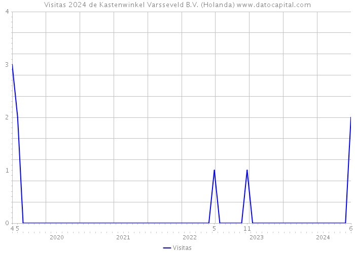 Visitas 2024 de Kastenwinkel Varsseveld B.V. (Holanda) 