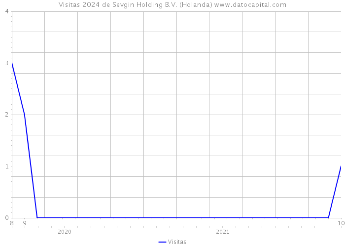 Visitas 2024 de Sevgin Holding B.V. (Holanda) 