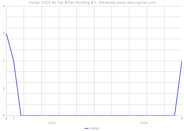 Visitas 2024 de Cas & Kas Holding B.V. (Holanda) 