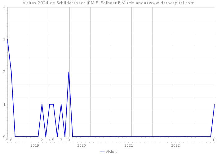 Visitas 2024 de Schildersbedrijf M.B. Bolhaar B.V. (Holanda) 