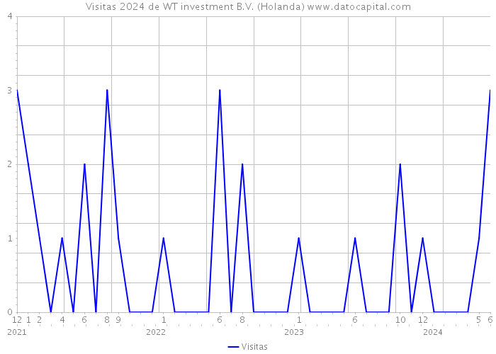 Visitas 2024 de WT investment B.V. (Holanda) 