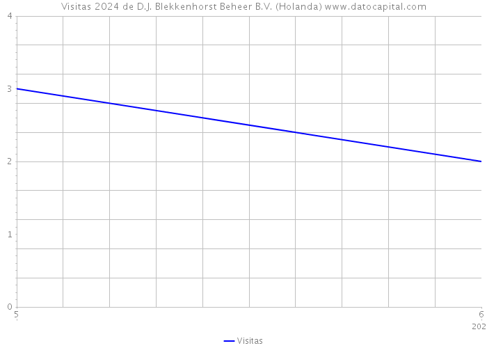 Visitas 2024 de D.J. Blekkenhorst Beheer B.V. (Holanda) 