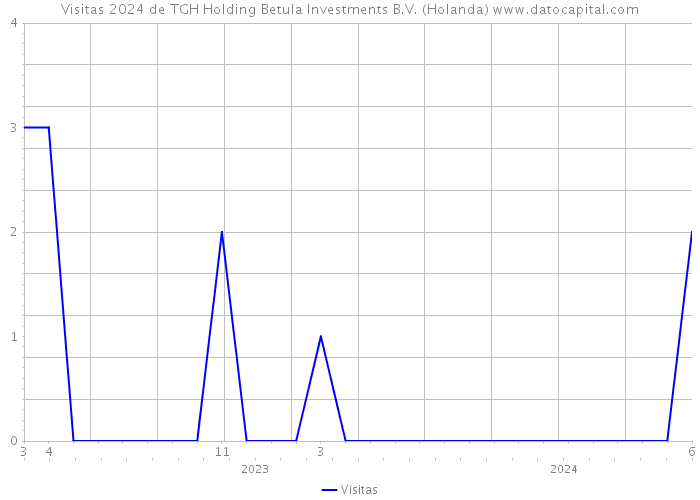 Visitas 2024 de TGH Holding Betula Investments B.V. (Holanda) 