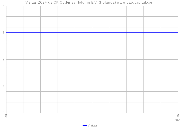 Visitas 2024 de OK Oudenes Holding B.V. (Holanda) 