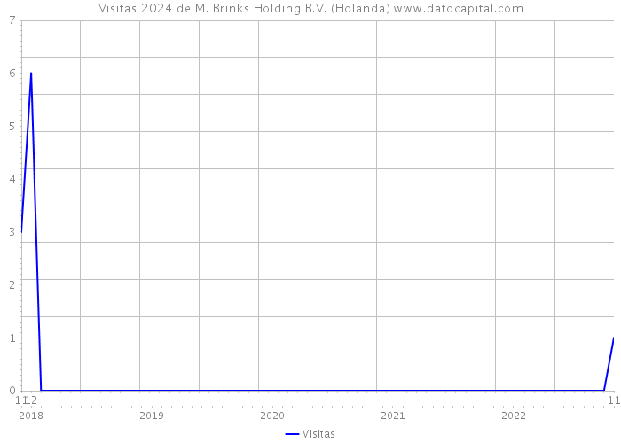 Visitas 2024 de M. Brinks Holding B.V. (Holanda) 