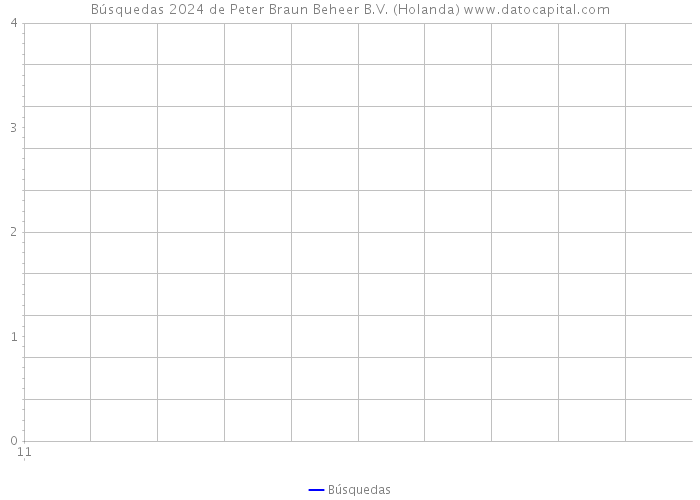 Búsquedas 2024 de Peter Braun Beheer B.V. (Holanda) 