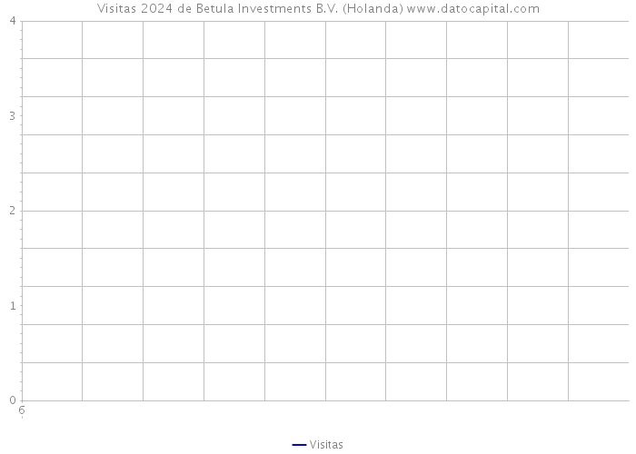 Visitas 2024 de Betula Investments B.V. (Holanda) 