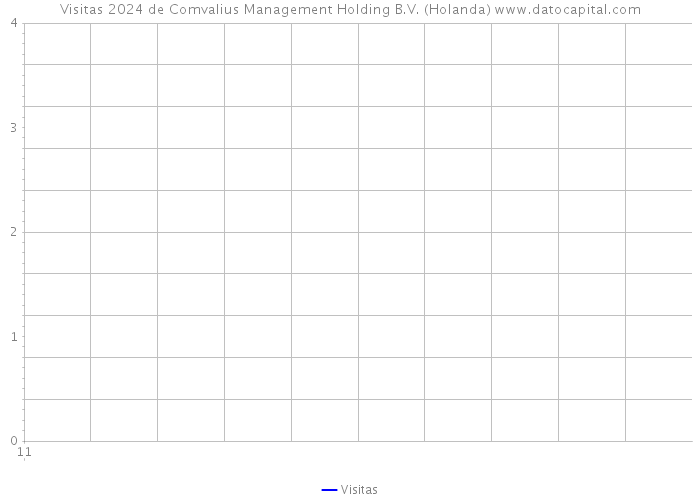 Visitas 2024 de Comvalius Management Holding B.V. (Holanda) 
