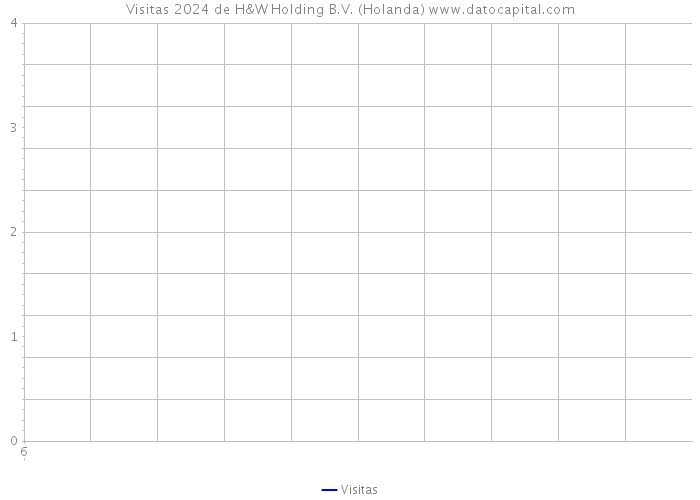 Visitas 2024 de H&W Holding B.V. (Holanda) 