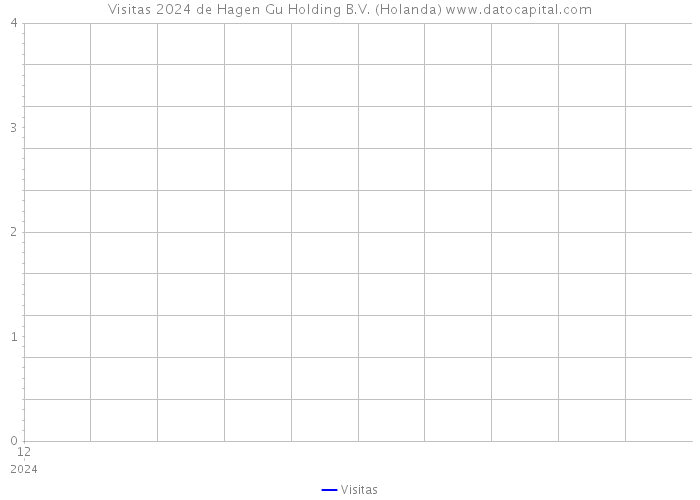 Visitas 2024 de Hagen Gu Holding B.V. (Holanda) 