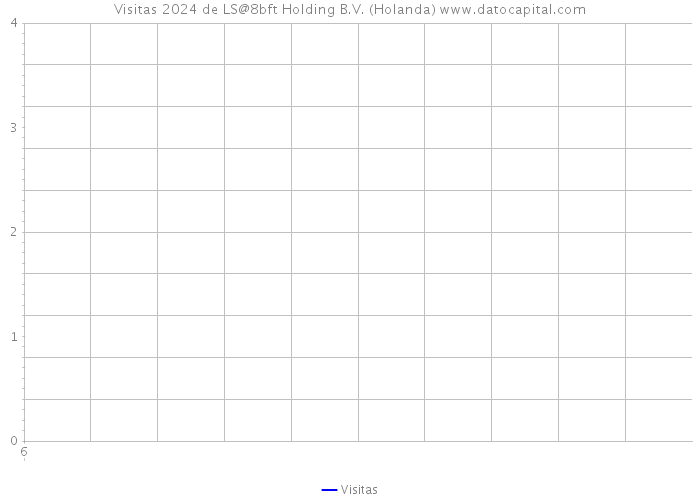 Visitas 2024 de LS@8bft Holding B.V. (Holanda) 