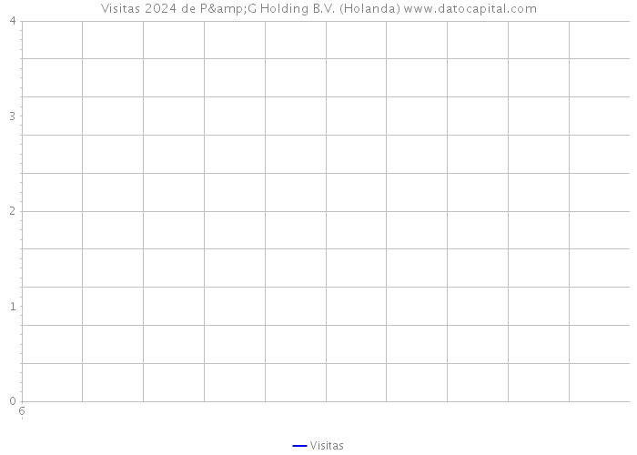 Visitas 2024 de P&G Holding B.V. (Holanda) 