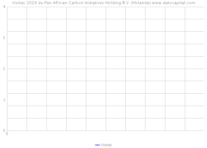 Visitas 2024 de Pan African Carbon Initiatives Holding B.V. (Holanda) 