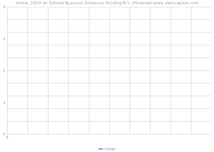 Visitas 2024 de Schriek Business Solutions Holding B.V. (Holanda) 