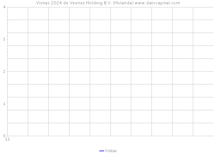 Visitas 2024 de Veenes Holding B.V. (Holanda) 